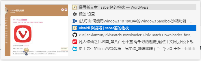 使用 Vivaldi 浏览器进行全屏浏览
